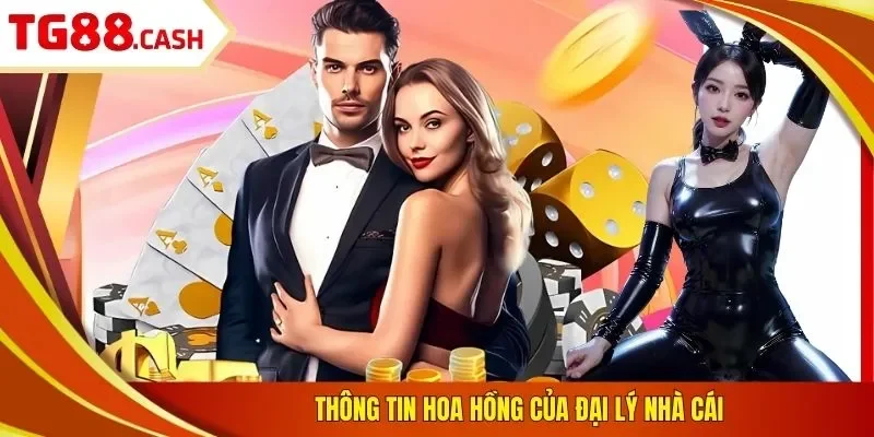 Đại lý TG88 Thông tin hoa hồng của đại lý nhà cái