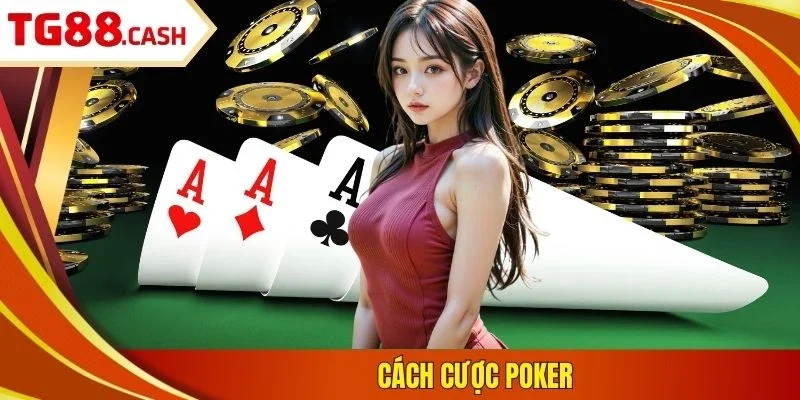 Poker Online TG88: Những Bí Kíp Phải Biết Trước Khi Vào Bàn Cách cược poker