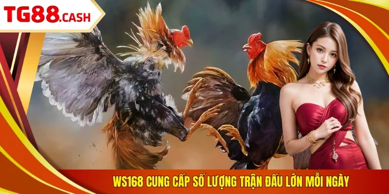 WS168 cung cấp số lượng trận đấu lớn mỗi ngày